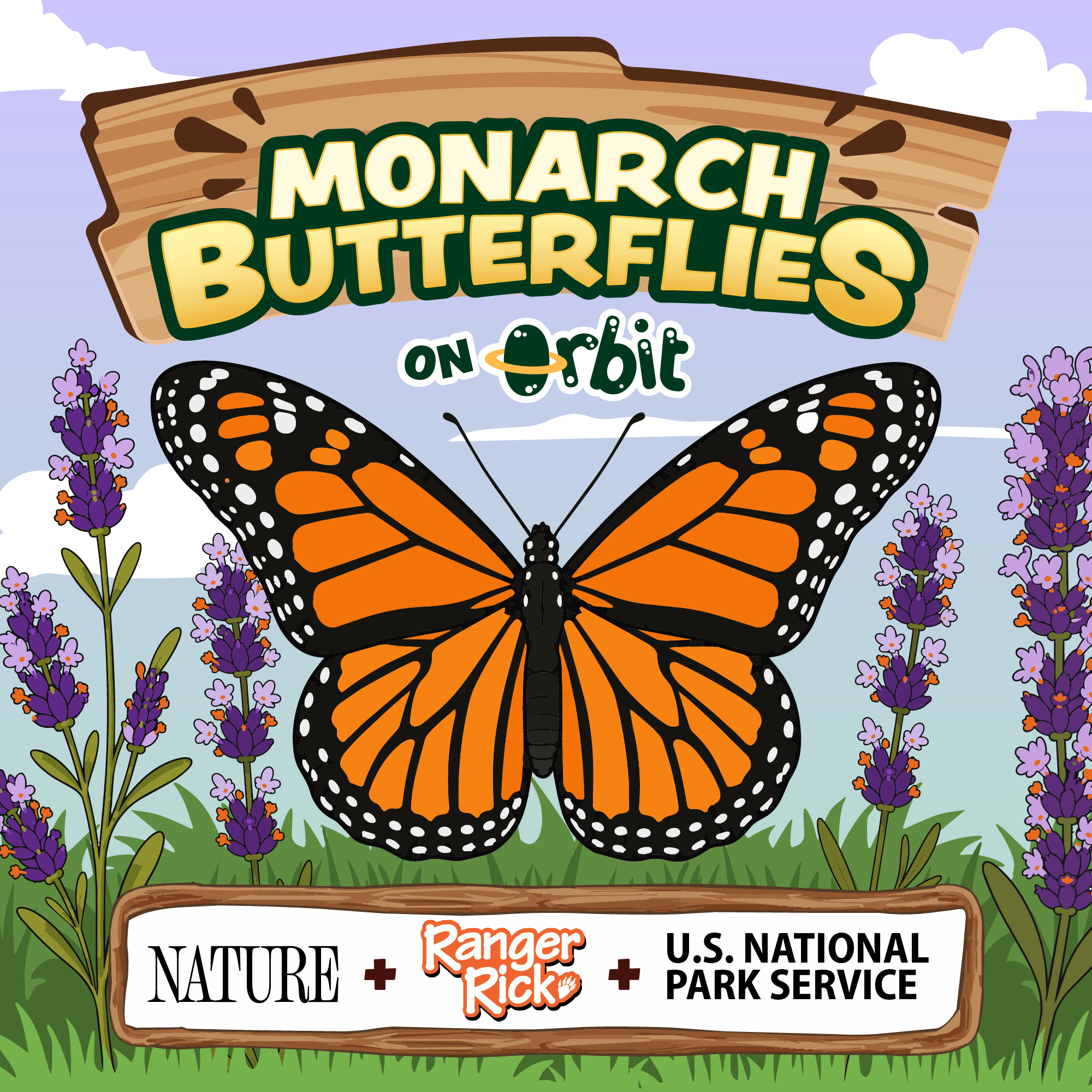 A butterfly's 3,000-mile journey!