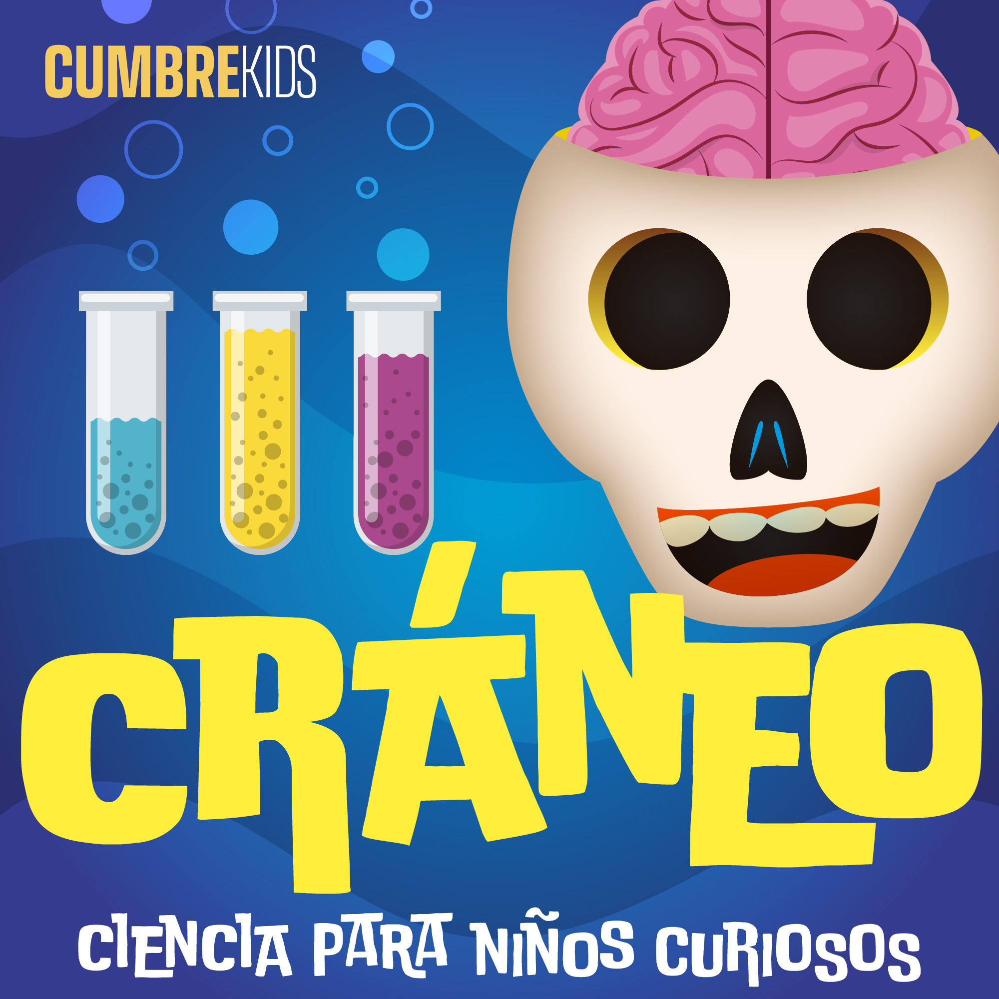 Cráneo — Ciencia para niños curiosos