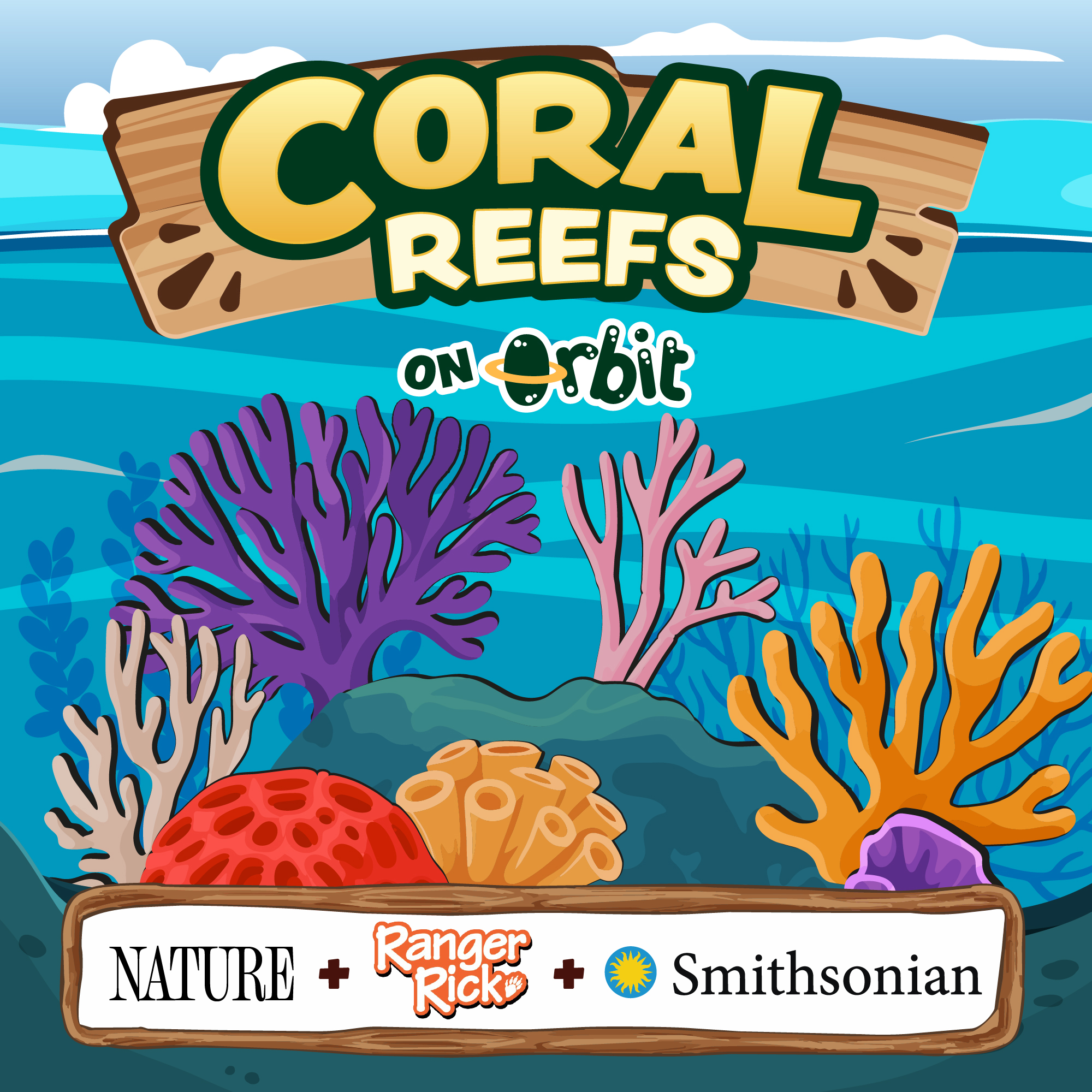 Coral Reefs: Amazing underwater cities!