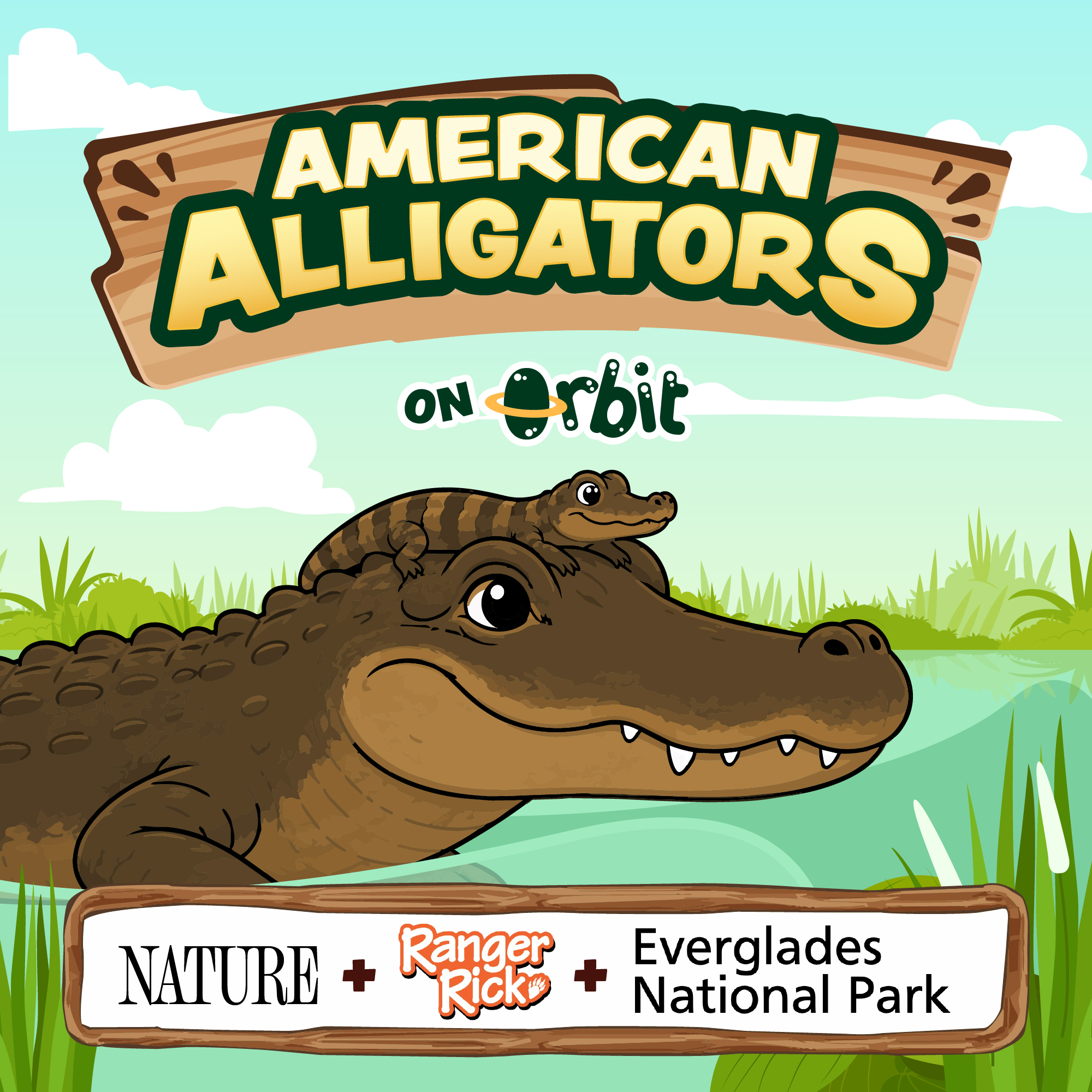 Why are alligator moms so awesome?